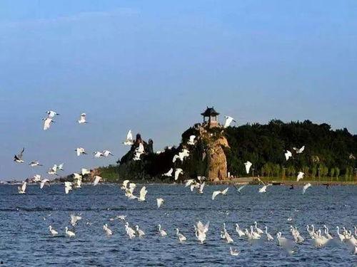 北戴河爆料博主视频,博主带你领略海滨风情与独家爆料