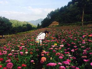 爆料半亩花田视频大全集,揭秘美丽秘诀与护肤心得 第2张 爆料半亩花田视频大全集,揭秘美丽秘诀与护肤心得 第2张