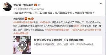 陈陈的爆料视频,惊人内幕大公开 第3张 陈陈的爆料视频,惊人内幕大公开 第3张